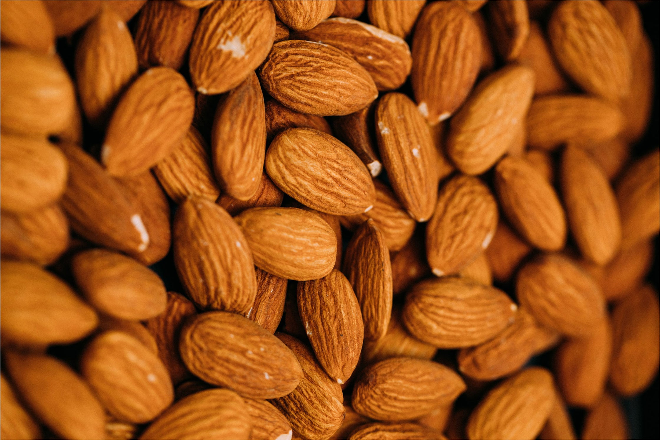 Close up of fresh almonds